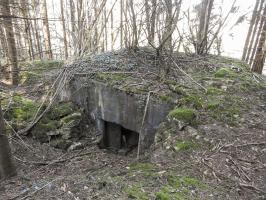 Ligne Maginot - MUEHLENBACH 4 - (Blockhaus pour canon) - L'entrée du canon.