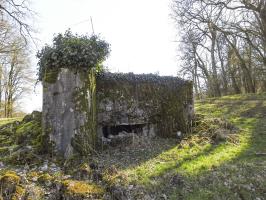 Ligne Maginot - MUEHLENBACH 6 - (Blockhaus pour canon) - La façade de tir vers le vallon du Muehlenbach.