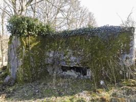 Ligne Maginot - MUEHLENBACH 6 - (Blockhaus pour canon) - La façade de tir vers le vallon du Muehlenbach.