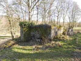Ligne Maginot - MUEHLENBACH 6 - (Blockhaus pour canon) - La façade de tir vers le vallon du Muehlenbach.