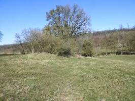 Ligne Maginot - MUEHLENBACH 7 - (Blockhaus pour canon) - La situation du blockhaus.