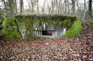 Ligne Maginot - STEINRITZ EST - LEO - (Blockhaus pour canon) - 
