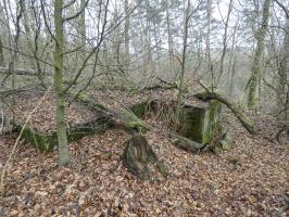 Ligne Maginot - GROSSLING (II° 59° RAMF) - (PC de Quartier) - Une vue d'ensemble du PC depuis le chemin.