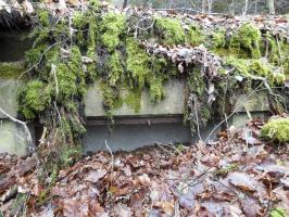 Ligne Maginot - HOLZSCHLAG 2 - (Cuve pour canon) - La niche à munitions en partie comblée.