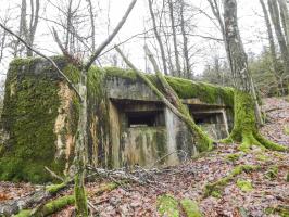Ligne Maginot - HOLZSCHLAG 3 - (Blockhaus pour canon) - La façade de tir.
Remarquez l'épaisseur du mur d'aile.