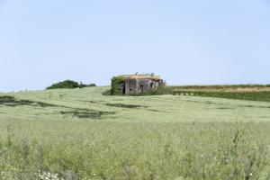 Ligne Maginot - BETTELSTOCK - (Blockhaus pour canon) - 