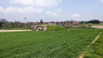 Ligne Maginot - BETTELSTOCK - (Blockhaus pour canon) - Vue sur la façade arrière, au second plan Hunspach