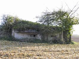 Ligne Maginot - BETTELSTOCK (Blockhaus pour canon) - Façade de la chambre de tir
