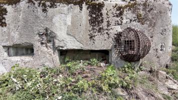 Ligne Maginot - BETTELSTOCK - (Blockhaus pour canon) - L'entrée canon maçonnée et remblayée, le créneau de protection rapprochée arrière et la prise d'air protégée par un treillage métallique