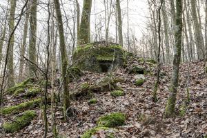 Ligne Maginot - FM17 - VOEGELSMATT 8 - (Blockhaus pour arme infanterie) - 