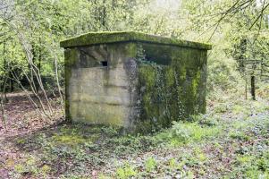 Ligne Maginot - BAN SAINT JEAN Sud (Blockhaus de type indeterminé) - Un blockhaus