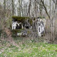 Ligne Maginot - DB305 - GRAND BOIS - (Blockhaus pour canon) - 