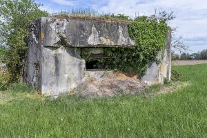 Ligne Maginot - RICHTOLSHEIM 2 - (Blockhaus pour canon) - Blockhaus pour canon