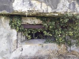 Ligne Maginot - RICHTOLSHEIM 2 - (Blockhaus pour canon) - 