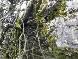 Ligne Maginot - ELSENBERG 1 - (Casemate d'infanterie - Simple) - Des impacts de tir près de l'entrée.