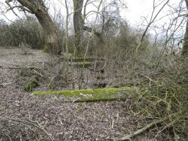 Ligne Maginot - DORFWIESE 3 - (Cuve pour canon) - La cuve est envahie par la végétation.