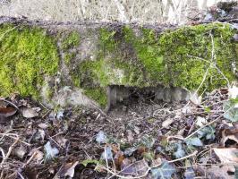 Ligne Maginot - BOIS DU CASTEL 2 - (Cuve pour arme d'infanterie) - L'un des créneaux.