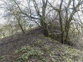 Ligne Maginot - BOLCHERBERG SUD - (Blockhaus pour canon) - Le blockhaus en 2022.