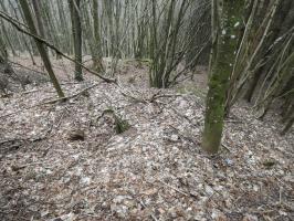 Ligne Maginot - KLAM 7 - (Blockhaus pour arme infanterie) - Le blockhaus à peine visible depuis le chemin.