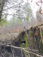 Ligne Maginot - RUISSEAU DU GROSSTHAL 3 - (Blockhaus pour arme infanterie) - 