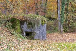Ligne Maginot - OLTINGUE NORD 1 - (Blockhaus pour arme infanterie) - 