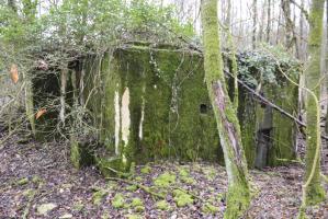 Ligne Maginot - MORTENKRUPP SUD - (Blockhaus pour arme infanterie) -     