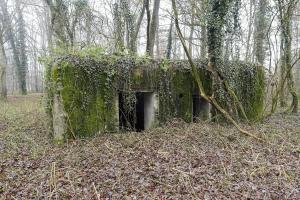 Ligne Maginot - SELTZBACH 2 - (Blockhaus pour canon) - Le blockhaus vu coté entrées
Le cartouche a disparu
