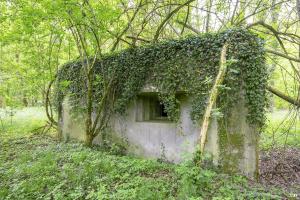 Ligne Maginot - SELTZBACH 2 - (Blockhaus pour canon) - 