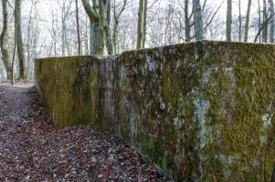 Ligne Maginot - SAINT HUBERT - DéPôT ARRIèRE - (Dépôt de Munitions) - Plateforme pour voie normale 2