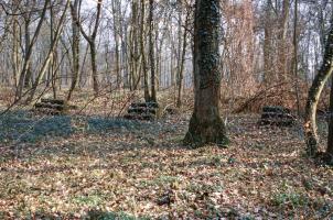 Ligne Maginot - SAINT HUBERT - DéPôT ARRIèRE - (Dépôt de Munitions) - Emplacement pour wagons SNCF