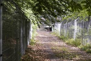 Ligne Maginot - HOCHWALD - (Ouvrage d'artillerie) - Bloc 9
Entrée des hommes Ouest