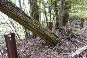 Ligne Maginot - HOCHWALD - (Ouvrage d'artillerie) - Bloc 9
Entrée hommes Ouest
Réseau barbelés et réseau antichar