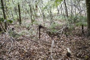 Ligne Maginot - HOCHWALD - (Ouvrage d'artillerie) - Bloc 9
Entrée des hommes Ouest
Réseau barbelés