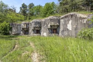 Ligne Maginot - HOCHWALD - (Ouvrage d'artillerie) - Bloc 6
Trois créneaux pour canons de 75 mle 29