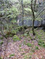 Ligne Maginot - HOCHWALD - Reduit ( Ouvrage d'infanterie ) - Ruines du blockhaus d'entrée
