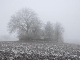 Ligne Maginot - BB307 - (Blockhaus pour arme infanterie) - Le blockhaus dans une ambiance hivernale.