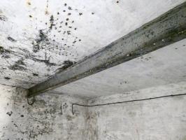 Ligne Maginot - GRANGES COMMUNES - (Ouvrage d'infanterie) - Bloc 1
IPN supportant un palan