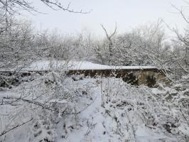 Ligne Maginot - BB308 - (Blockhaus pour arme infanterie) - Le blockhaus est difficilement accessible dans un fourré.
