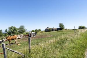 Ligne Maginot - SEELBERG OUEST - (Casemate d'infanterie - Simple) - 