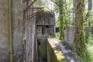 Ligne Maginot - BOIS DE HOFFEN OUEST - (Casemate d'infanterie - Simple) - 