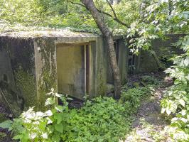 Ligne Maginot - BOIS DE HOFFEN OUEST - (Casemate d'infanterie - Simple) - Les niches pour les mines et barbelés