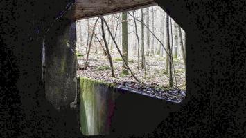 Ligne Maginot - DRACHENBRONN NORD OUEST - (Casemate d'infanterie) - Vue depuis le créneau FM de flanquement de façade