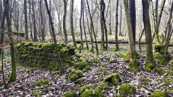 Ligne Maginot - Fondations d'un baraquement entre les deux casemates - Fondations d'un baraquement entre les deux casemates