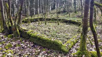 Ligne Maginot - Fondations d'un baraquement entre les deux casemates - Fondations d'un baraquement entre les deux casemates