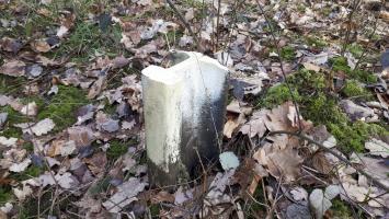 Ligne Maginot - DRACHENBRONN NORD OUEST - (Casemate d'infanterie) - Vestige du champ de rail antichar à proximité de la casemate