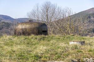 Ligne Maginot - FOUR A CHAUX - FAC - (Ouvrage d'artillerie) - Bloc 4
Cloche VDP 