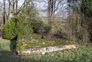 Ligne Maginot - DB304 - (Blockhaus pour canon) - Seul le toit est visible