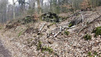 Ligne Maginot - B20-A HINTERWALD OUEST - (Blockhaus pour canon) - La partie arrière vue depuis la route