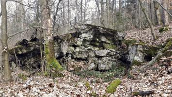 Ligne Maginot - B20-A HINTERWALD OUEST - (Blockhaus pour canon) - L'arrière, à droite le seul créneau visible du bloc