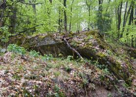 Ligne Maginot - B20-A HINTERWALD OUEST - (Blockhaus pour canon) - 